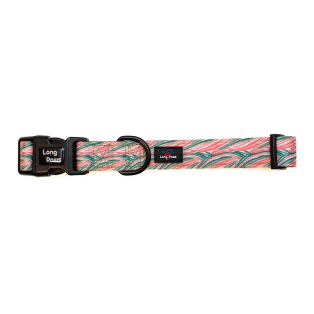Long Paws Funk The Dog Collar in Pink Green Zebra - Image 3