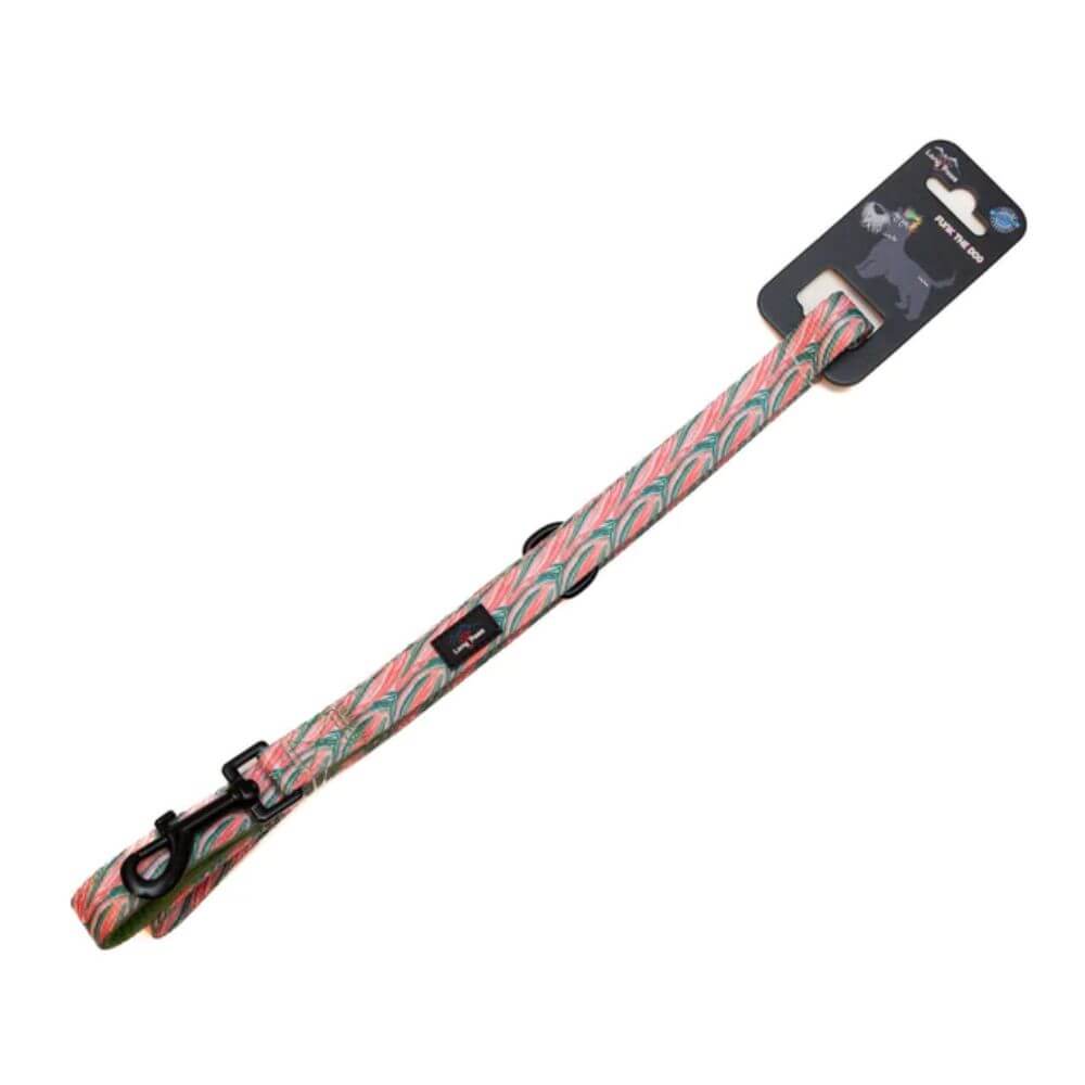 Long Paws Funk The Dog Lead in Pink Green Zebra - Image 3