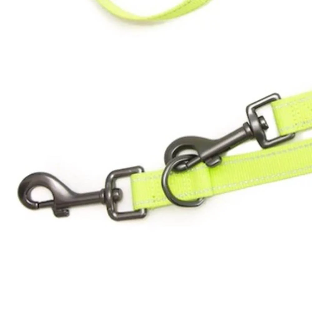 Long Paws Neon Collar & Reflective Training Lead Dog Walking Set - Image 4