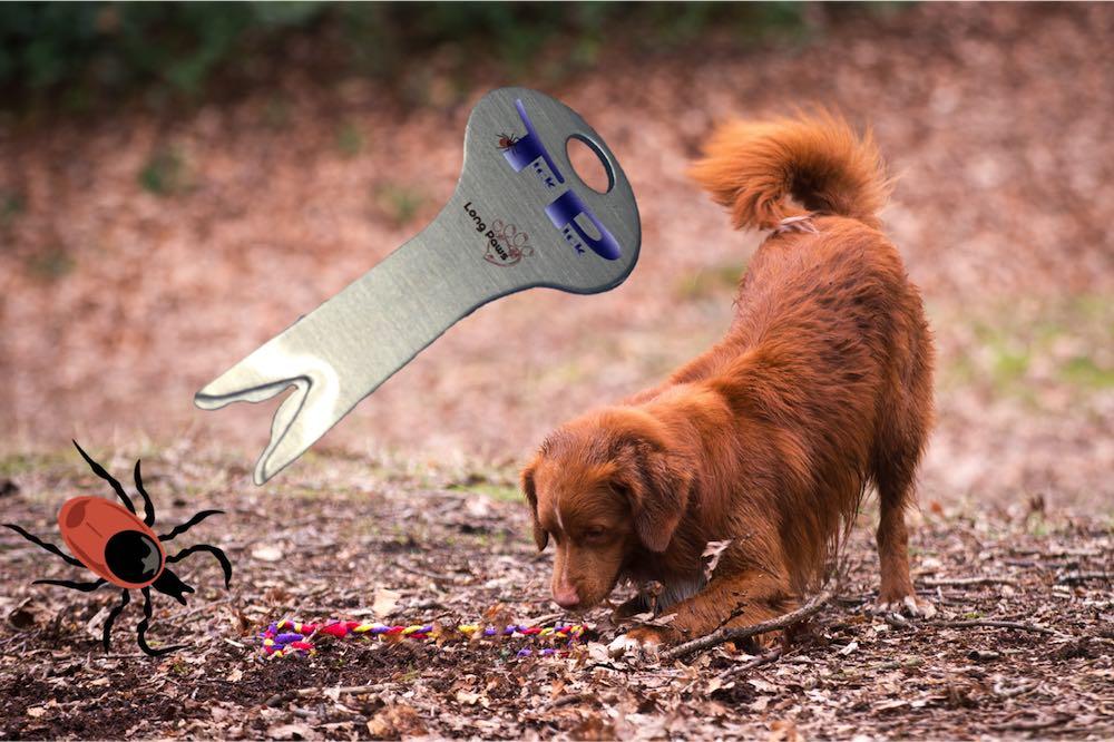 Long Paws Tick Remover - Image 5