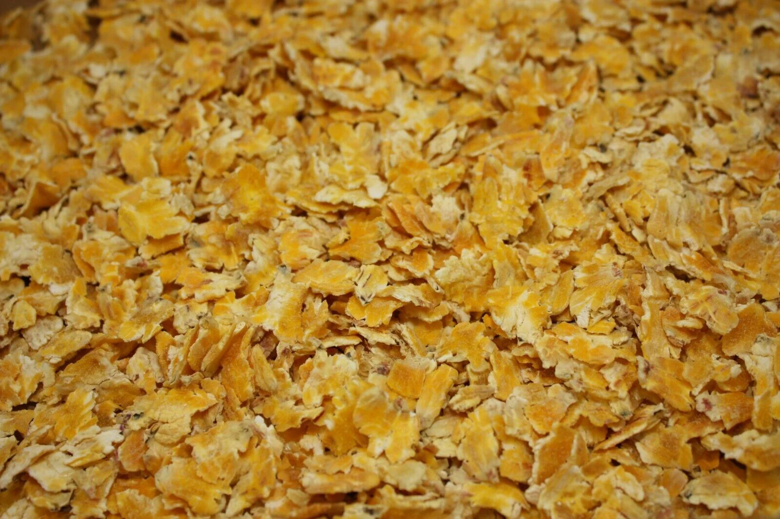 Masham Micronized Feeds Flaked Maize 25kg - Image 3