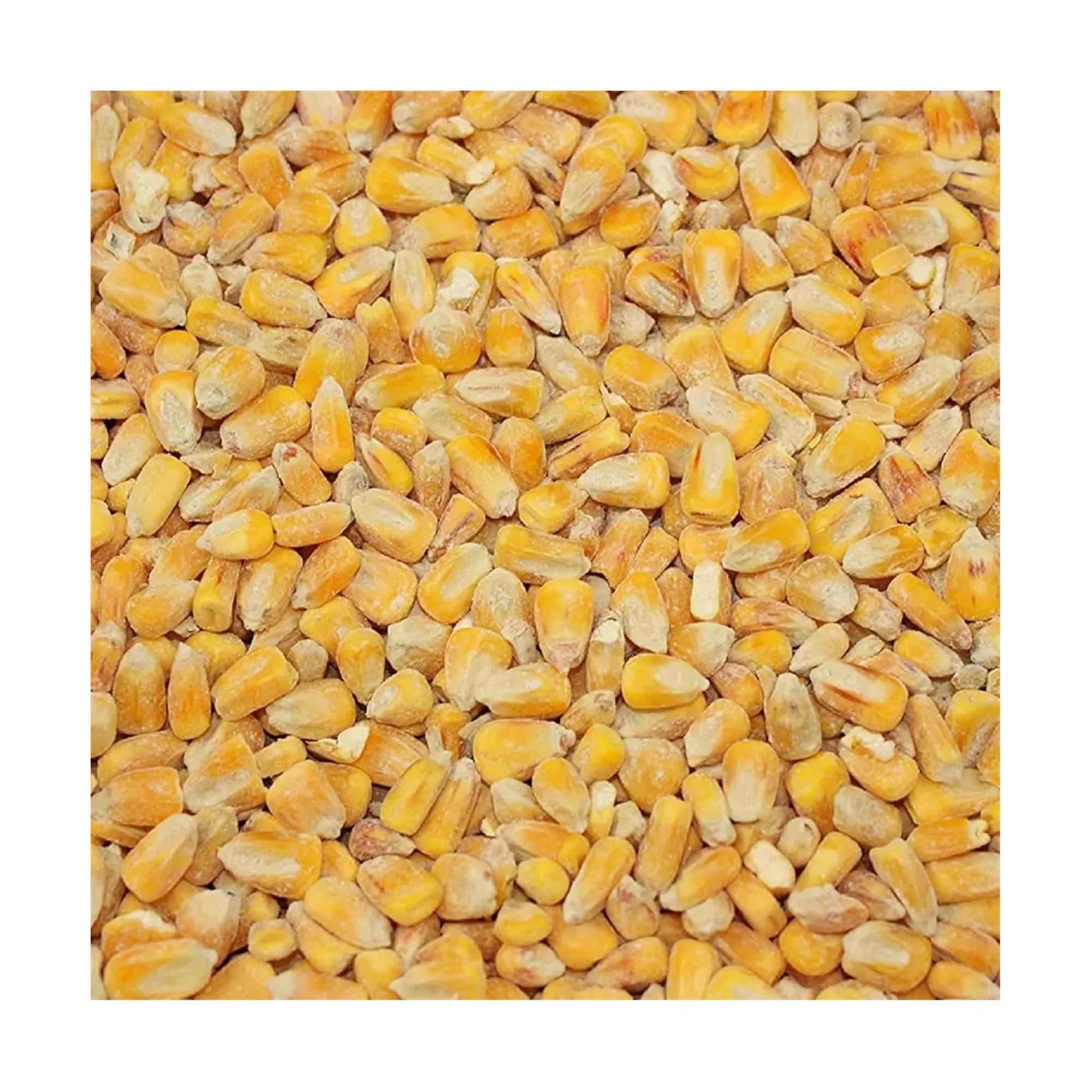 Masham Micronized Feeds Whole Maize 25kg - Image 2