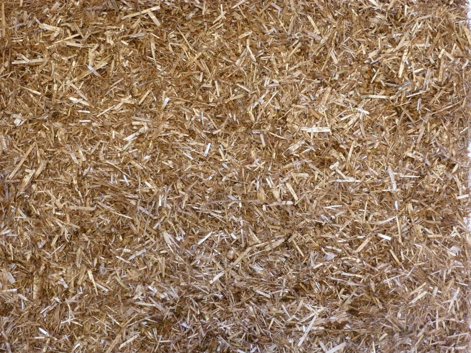 Mollichaff Showshine High Oil Cherry Chaff 12.5kg - Image 2