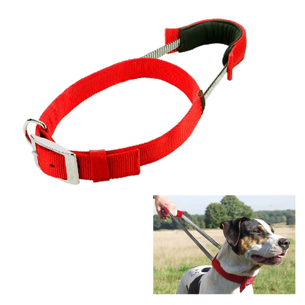 Patento Basic Dog Collar with Quick Grab Integrated Handle - Image 2