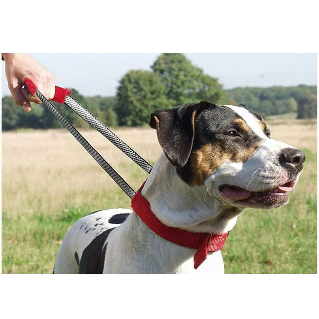 Patento Basic Dog Collar with Quick Grab Integrated Handle - Image 3