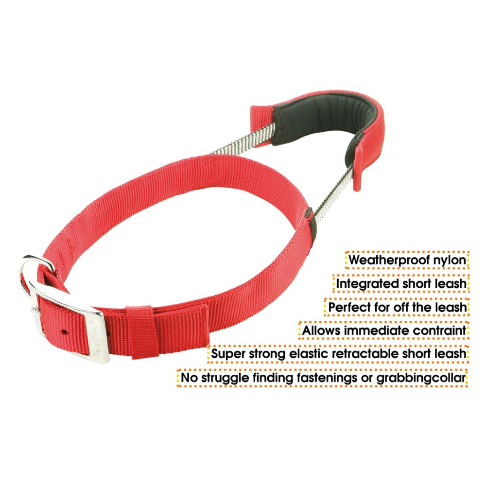 Patento Basic Dog Collar with Quick Grab Integrated Handle - Image 4