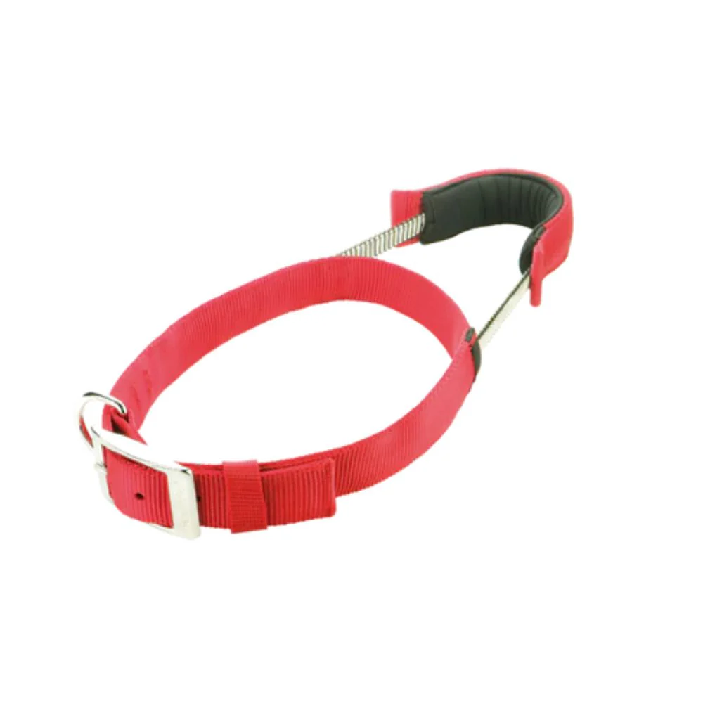 Patento Basic Dog Collar with Quick Grab Integrated Handle - Image 5