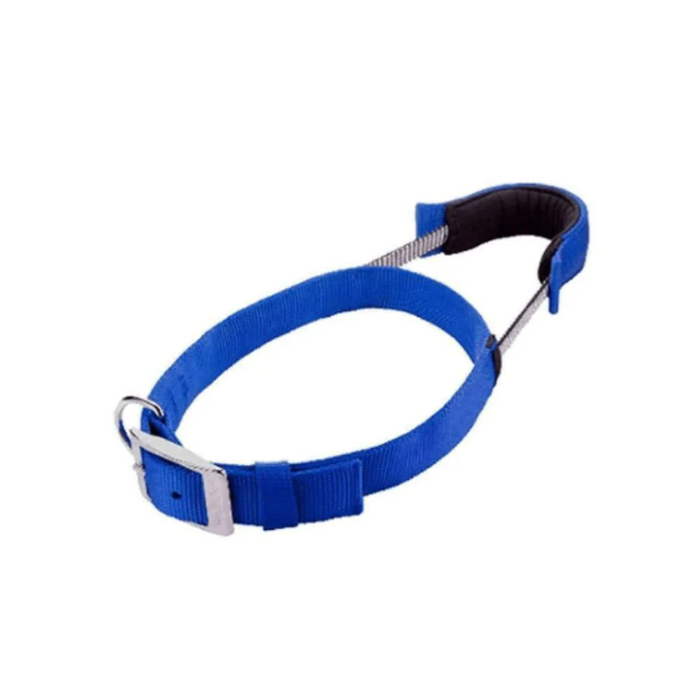 Patento Basic Dog Collar with Quick Grab Integrated Handle - Image 6