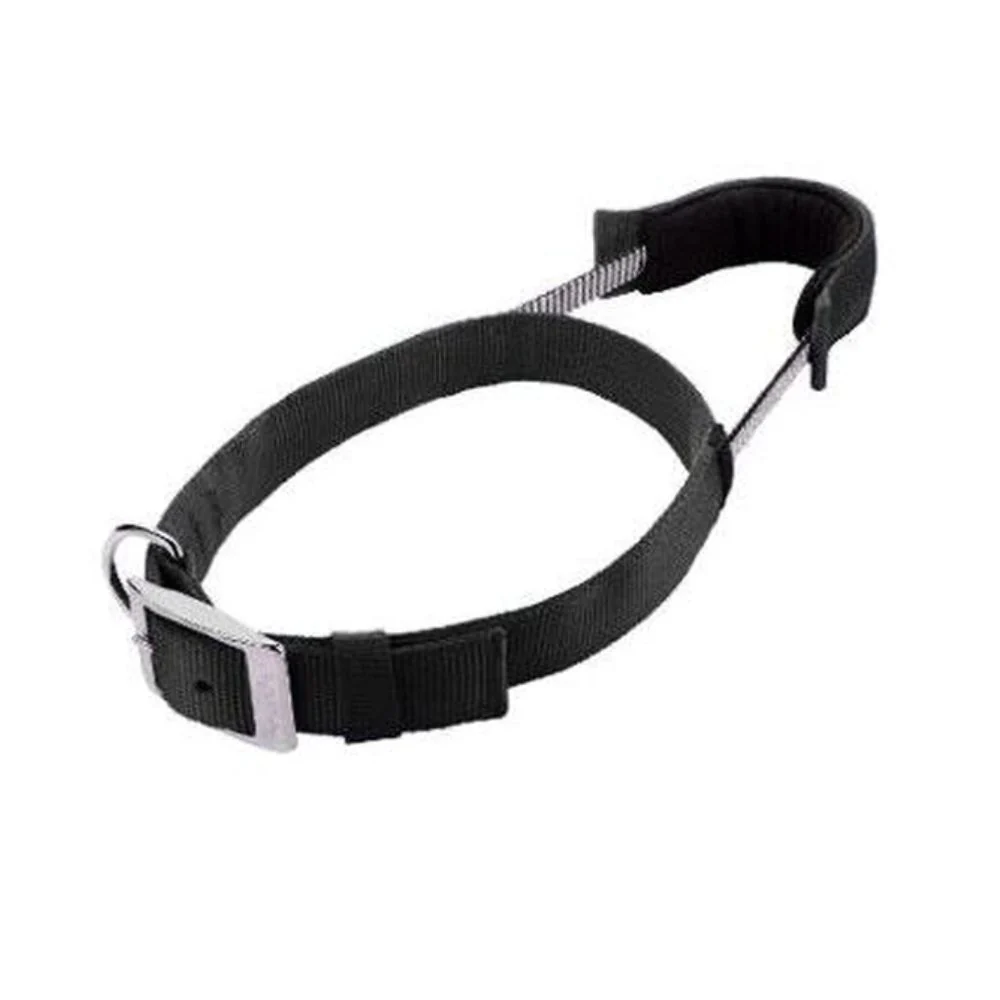Patento Basic Dog Collar with Quick Grab Integrated Handle - Image 7
