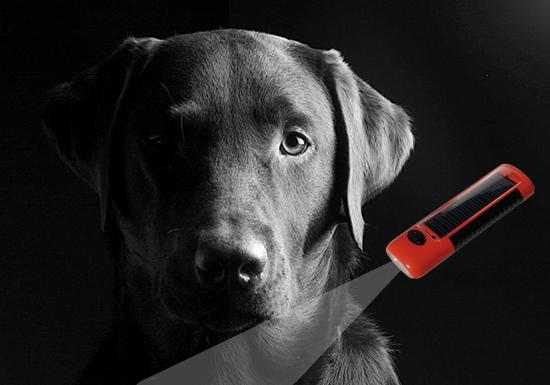 Patento Dog E-Lite Leash with Solar Torch - Image 2
