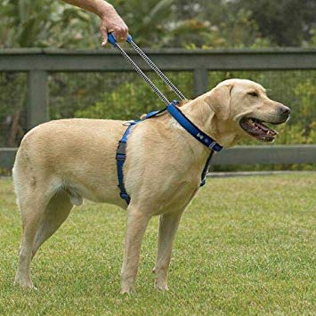 Patento Premium Dog Harness - Image 3