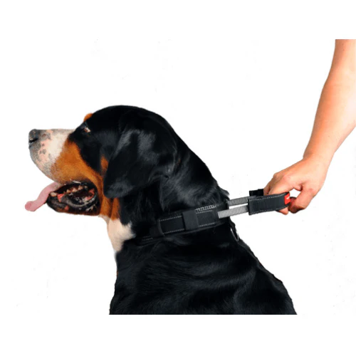 PatentoPet Padded Dog Collar with Quick Grab Handle - Image 3