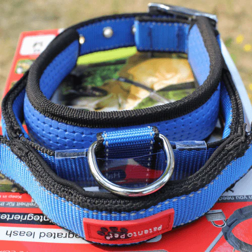 PatentoPet Padded Dog Collar with Quick Grab Handle - Image 4