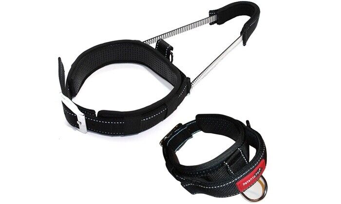 PatentoPet Padded Dog Collar with Quick Grab Handle - Image 5