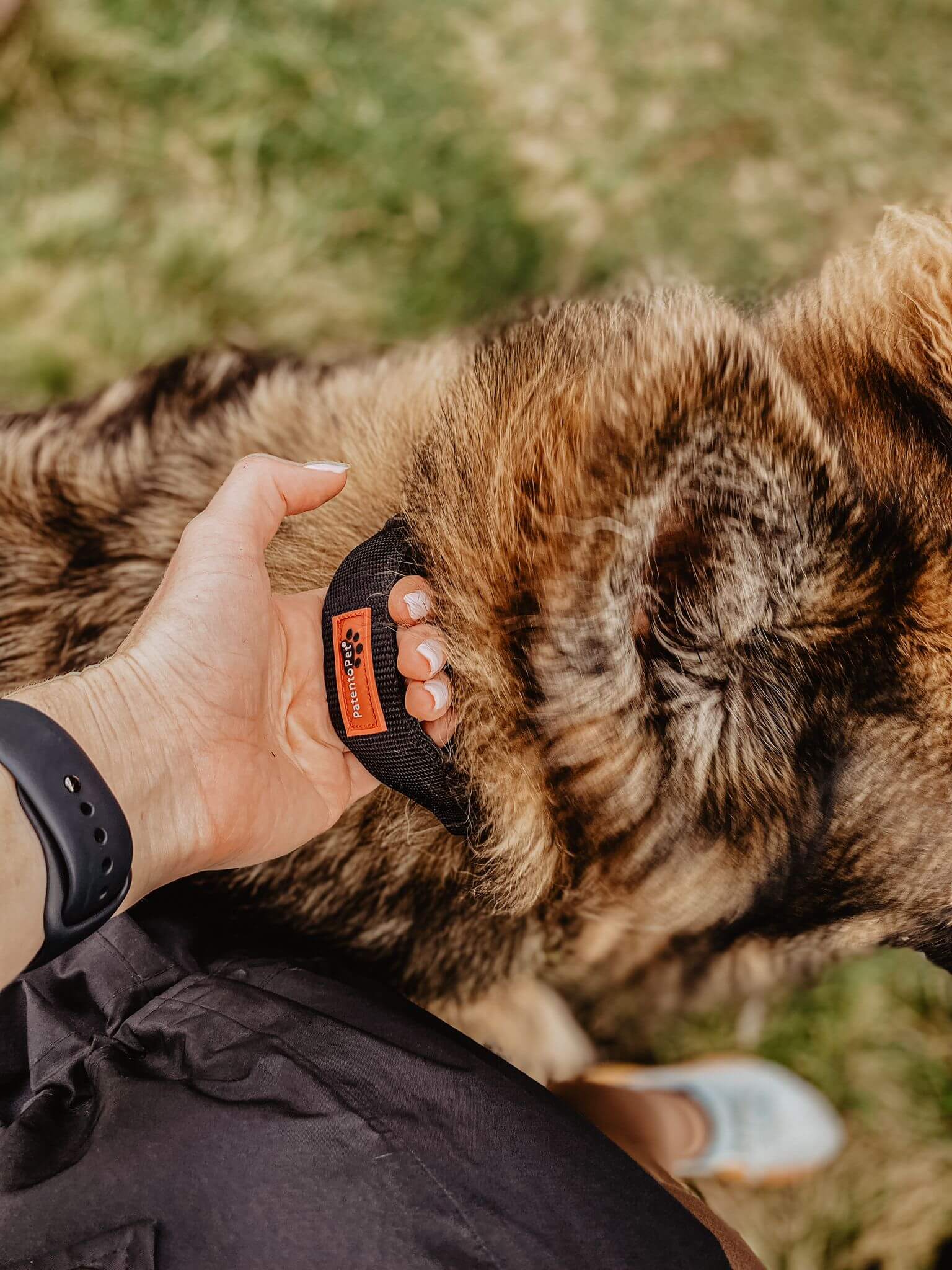 PatentoPet Padded Dog Collar with Quick Grab Handle - Image 8