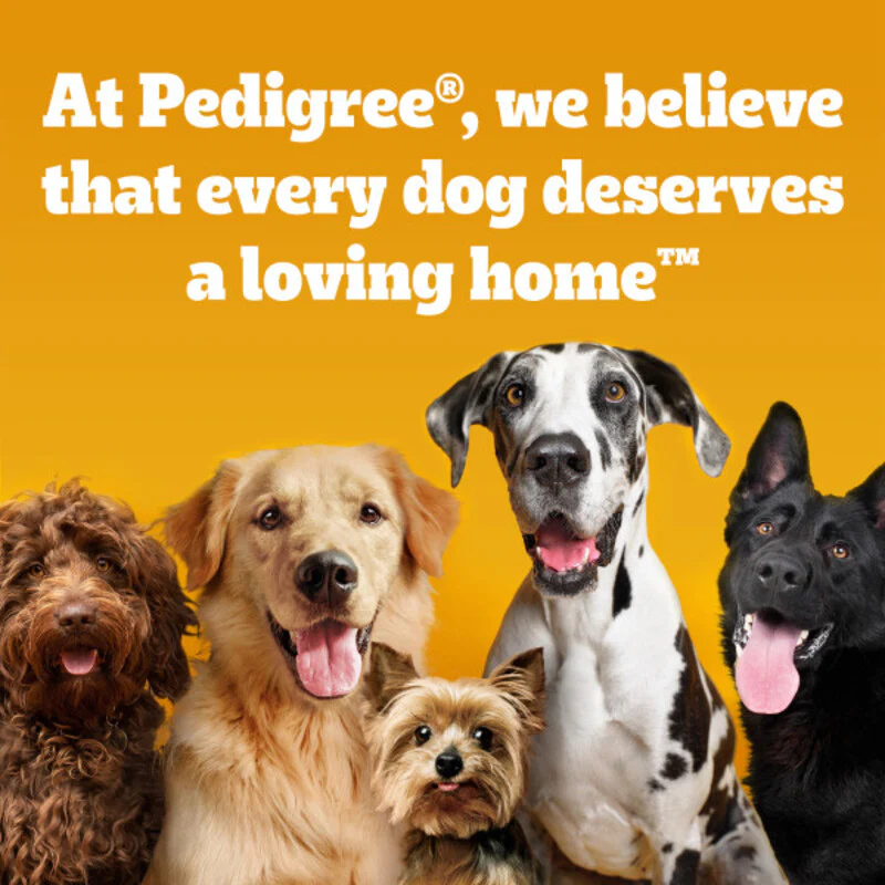 Pedigree Markies Original Biscuit Dog Treats 12.5kg - Image 4
