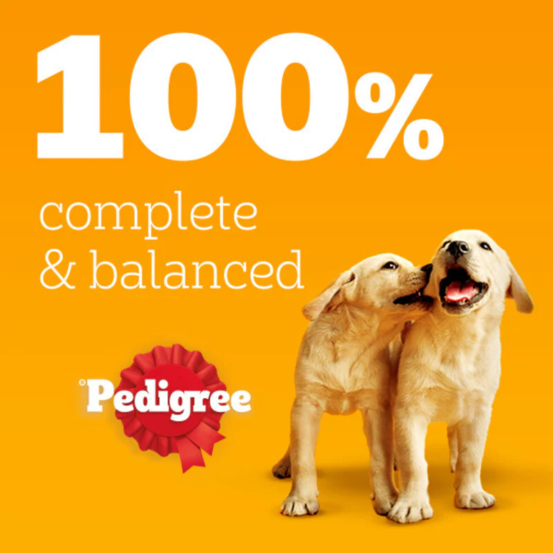 Pedigree Puppy Mixed Selection Dog Food in Jelly 100g x 48 Pouches - Image 4