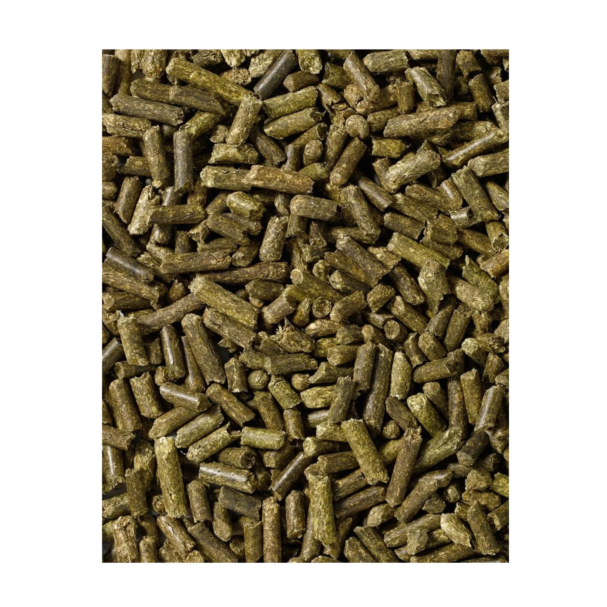 Saracen Alfalfa Pellets 20kg - Image 2