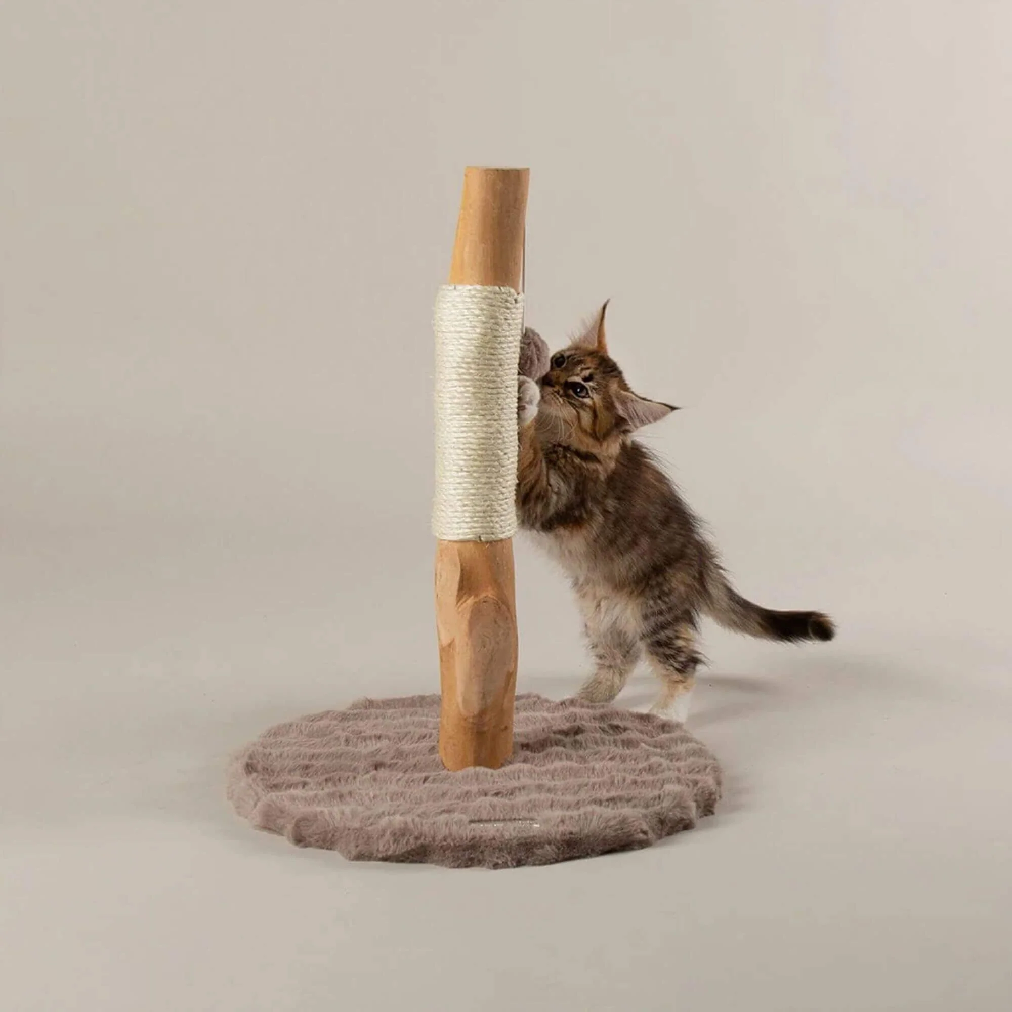 Scruffs Alpine Andes 'My First' Cat Scratching Post - Image 7