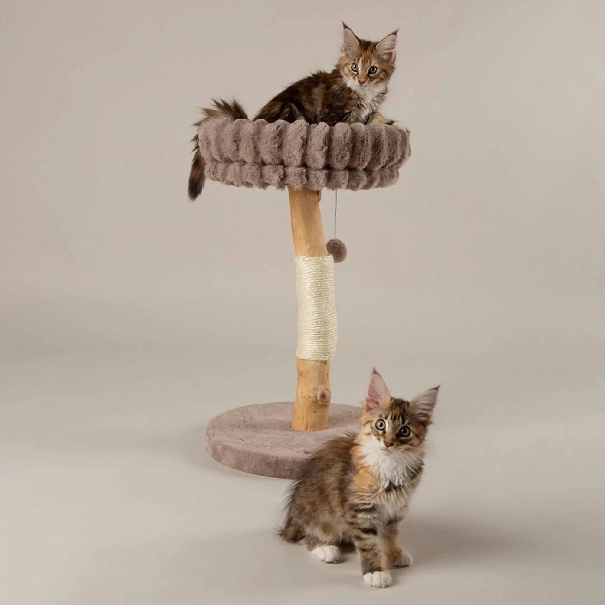Scruffs Alpine Appalachians Cat Tree - Image 2