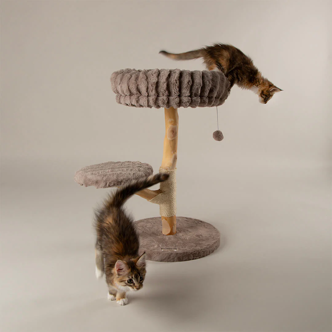 Scruffs Alpine Atlas Cat Tree - Image 7