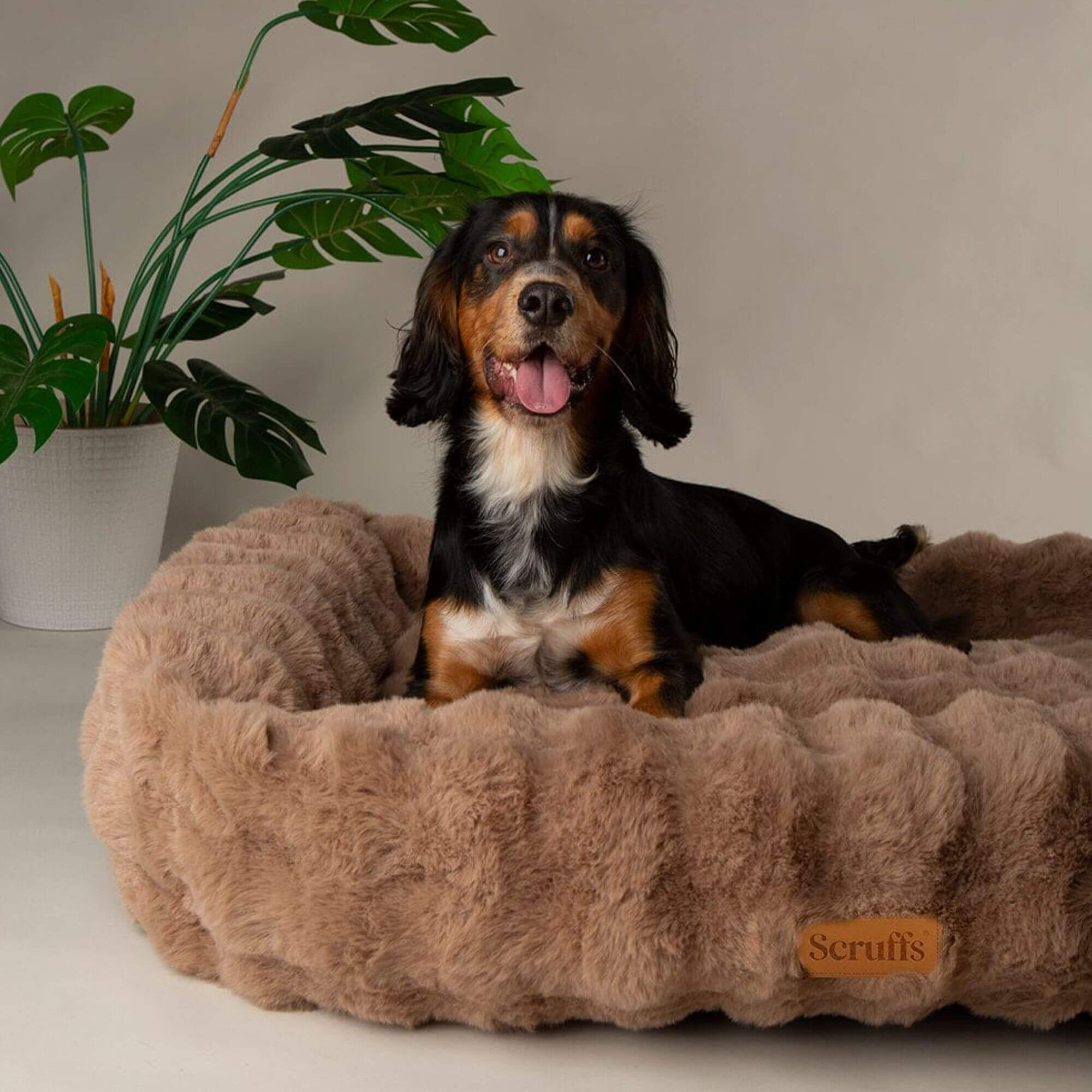 Scruffs Alpine Faux Fur Box Bed for Dogs - Image 6