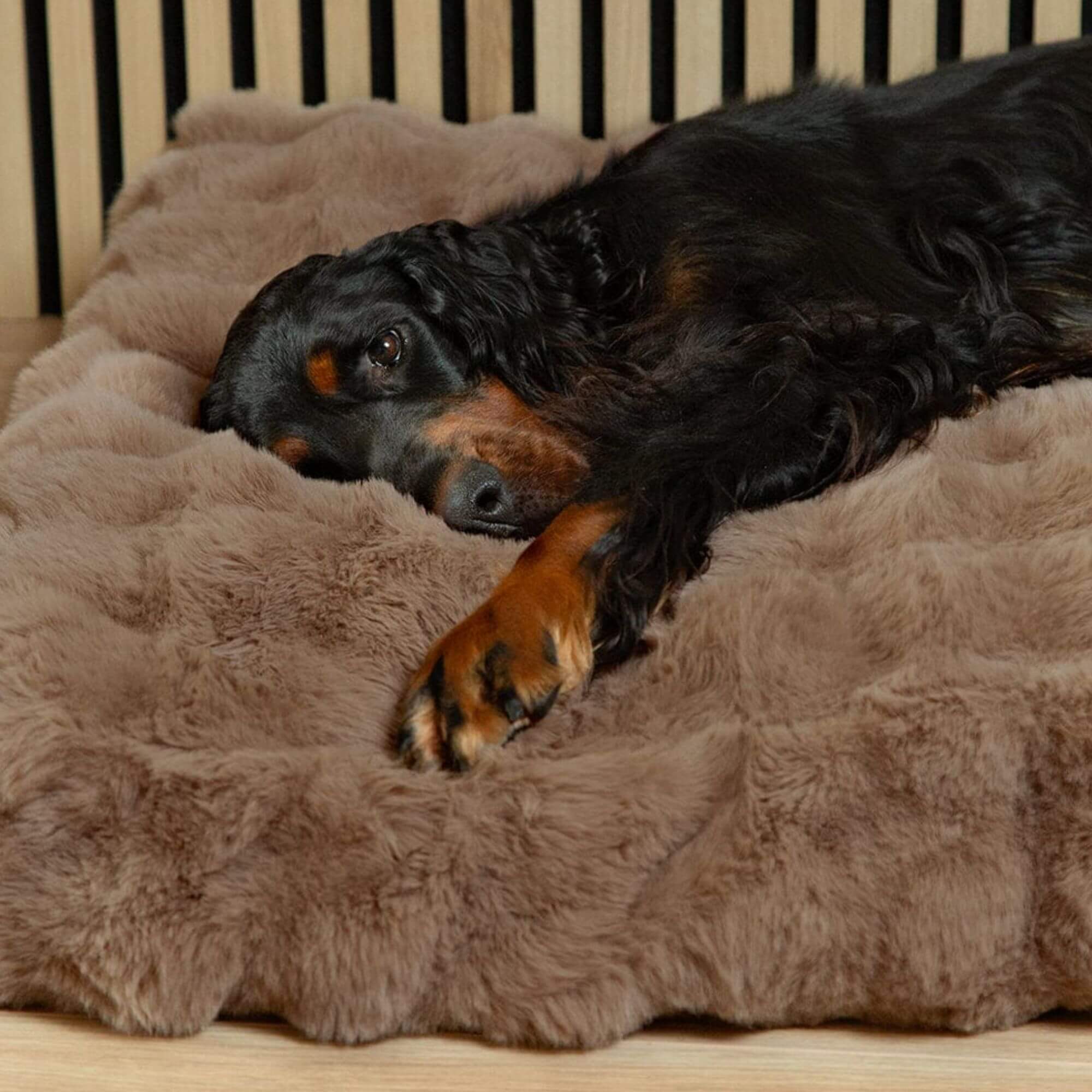 Scruffs Alpine Faux Fur Mattress for Dogs - Image 4