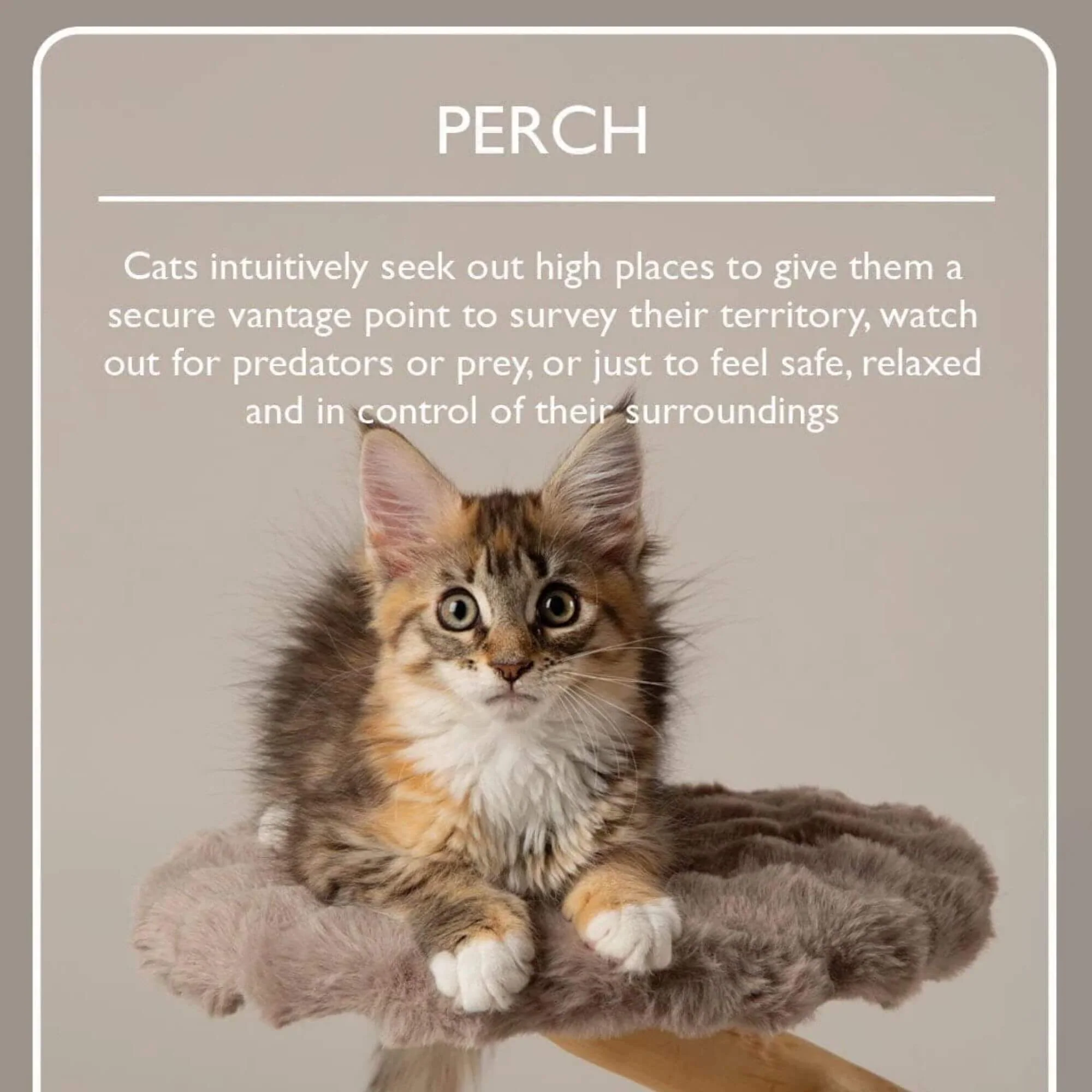 Scruffs Alpine Pyrenees Cat Tree - Image 8