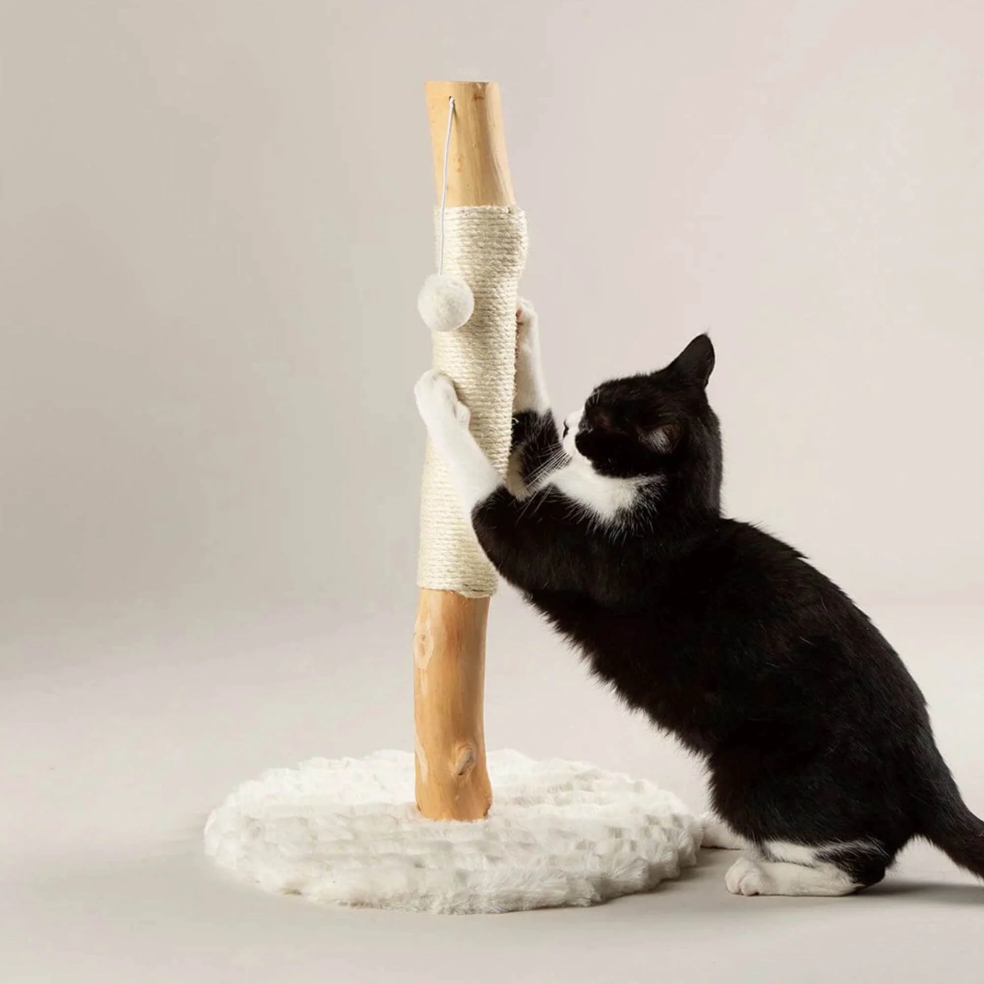 Scruffs Alpine Rockies Cat Scratching Post - Image 6