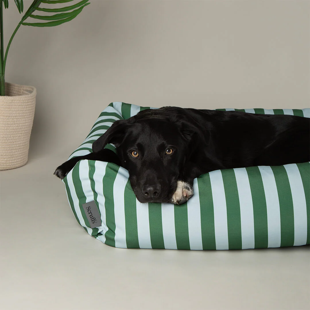 Scruffs Amalfi Striped Box Dog Bed in Green - Image 5