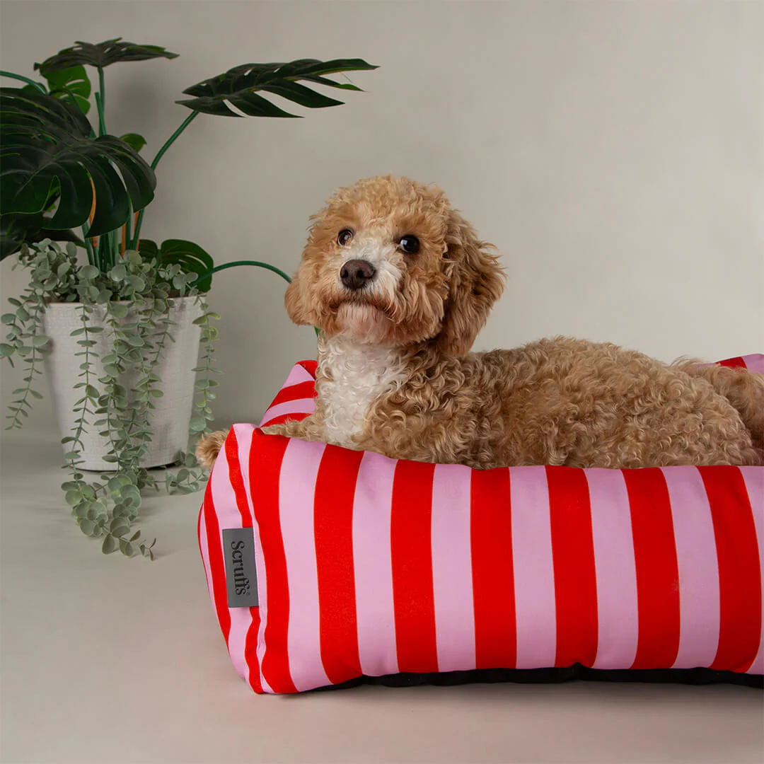 Scruffs Amalfi Striped Box Dog Bed in Pink - Image 3