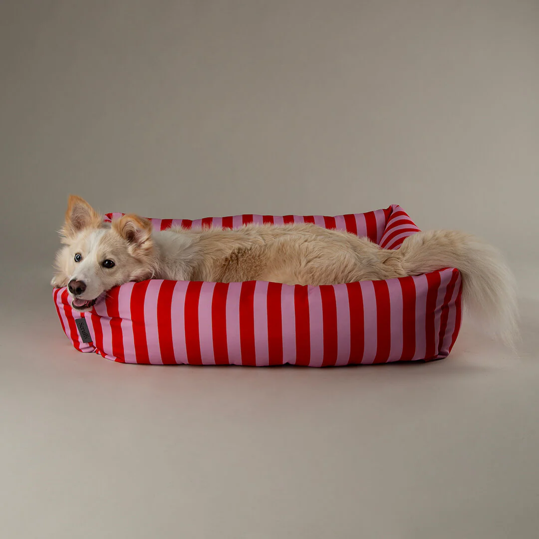 Scruffs Amalfi Striped Box Dog Bed in Pink - Image 5
