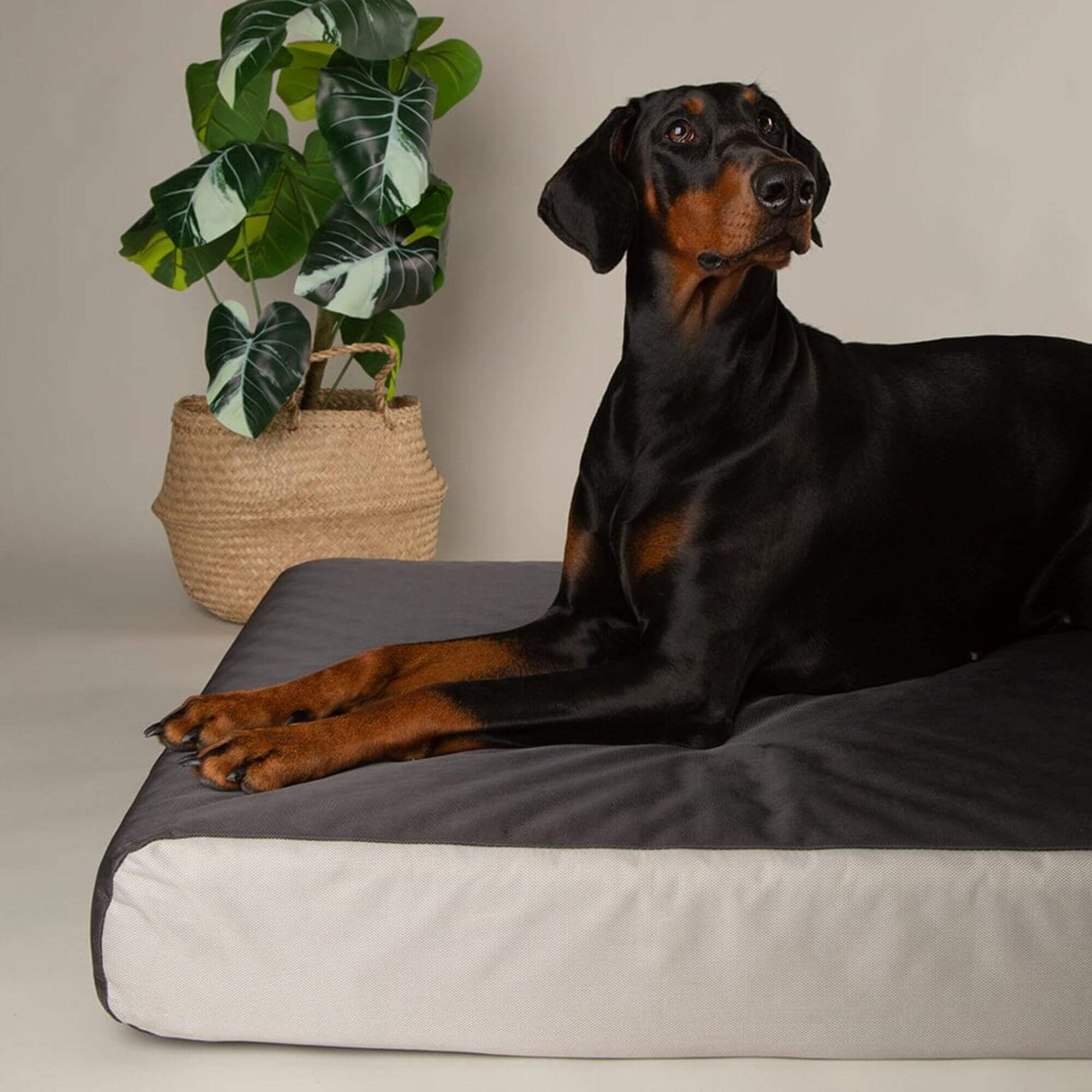 Scruffs ArmourDillo Orthopaedic Dog Bed - Grey - Image 3