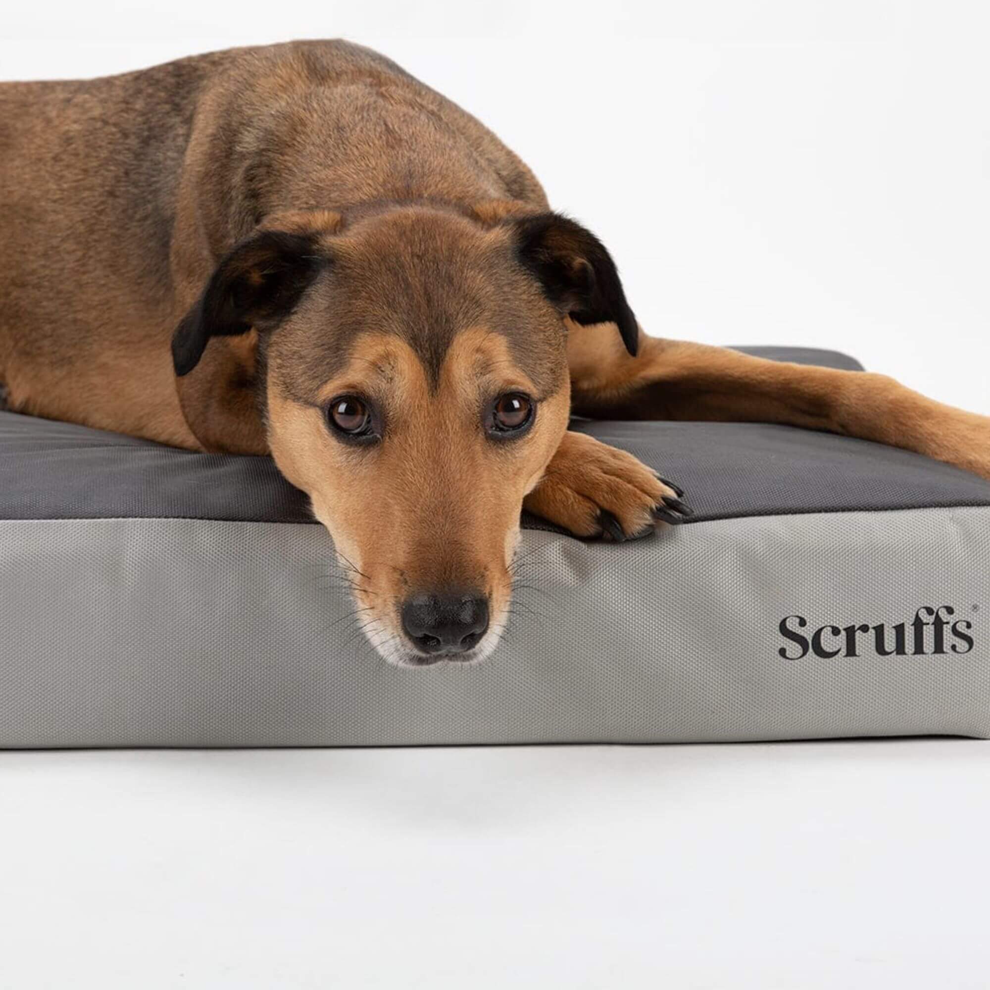 Scruffs ArmourDillo Orthopaedic Dog Bed - Grey - Image 5
