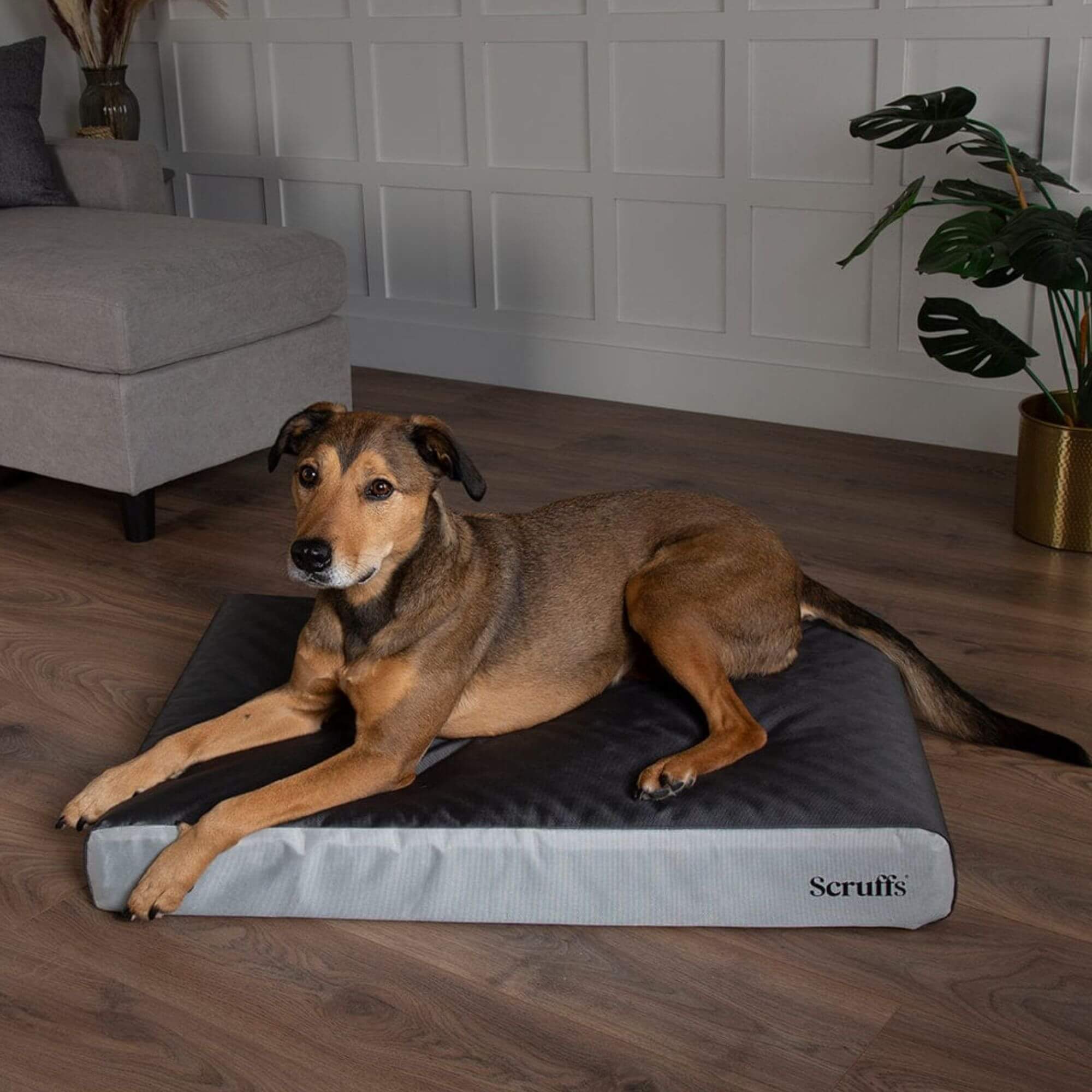 Scruffs ArmourDillo Orthopaedic Dog Bed - Grey - Image 6