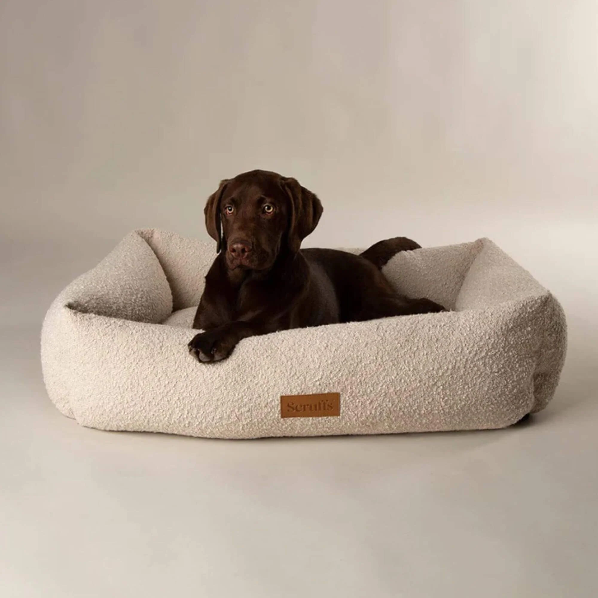 Scruffs Boucle Box Dog Bed - Image 2