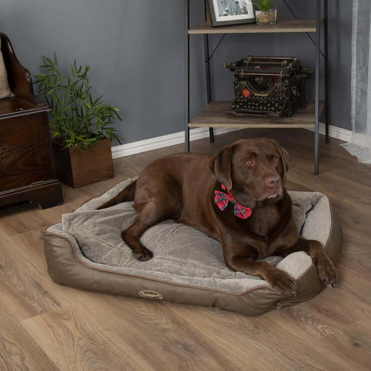 Scruffs Chateau Orthopaedic Box Dog Bed - Image 5