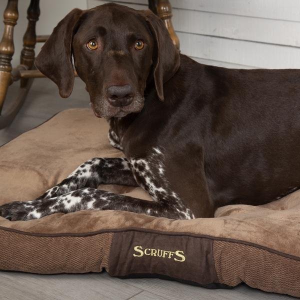 Scruffs Chester Dog Mattress - Image 4
