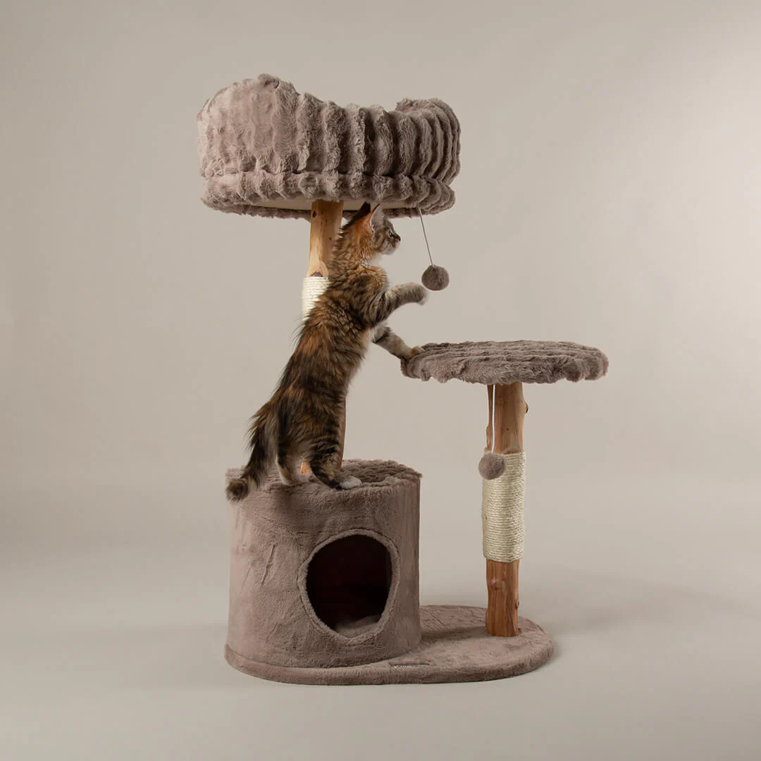 Scruffs Alpine Colorado Cat Tree - Image 4