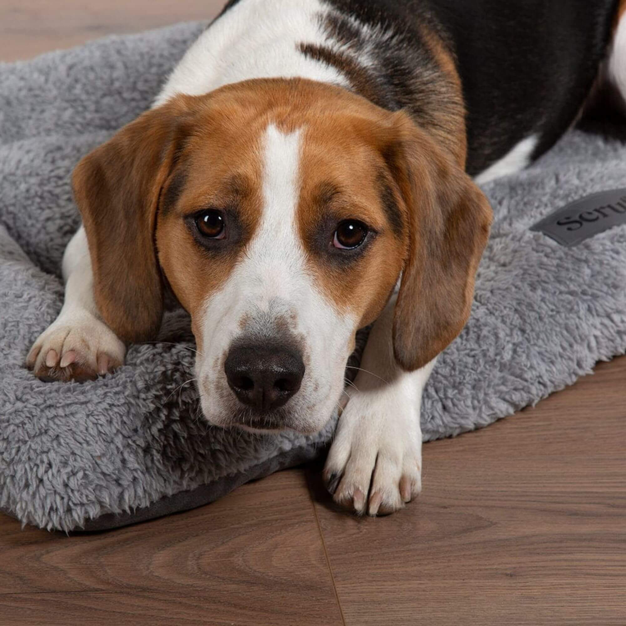 Scruffs Cosy Crate Mat in Grey - Image 3