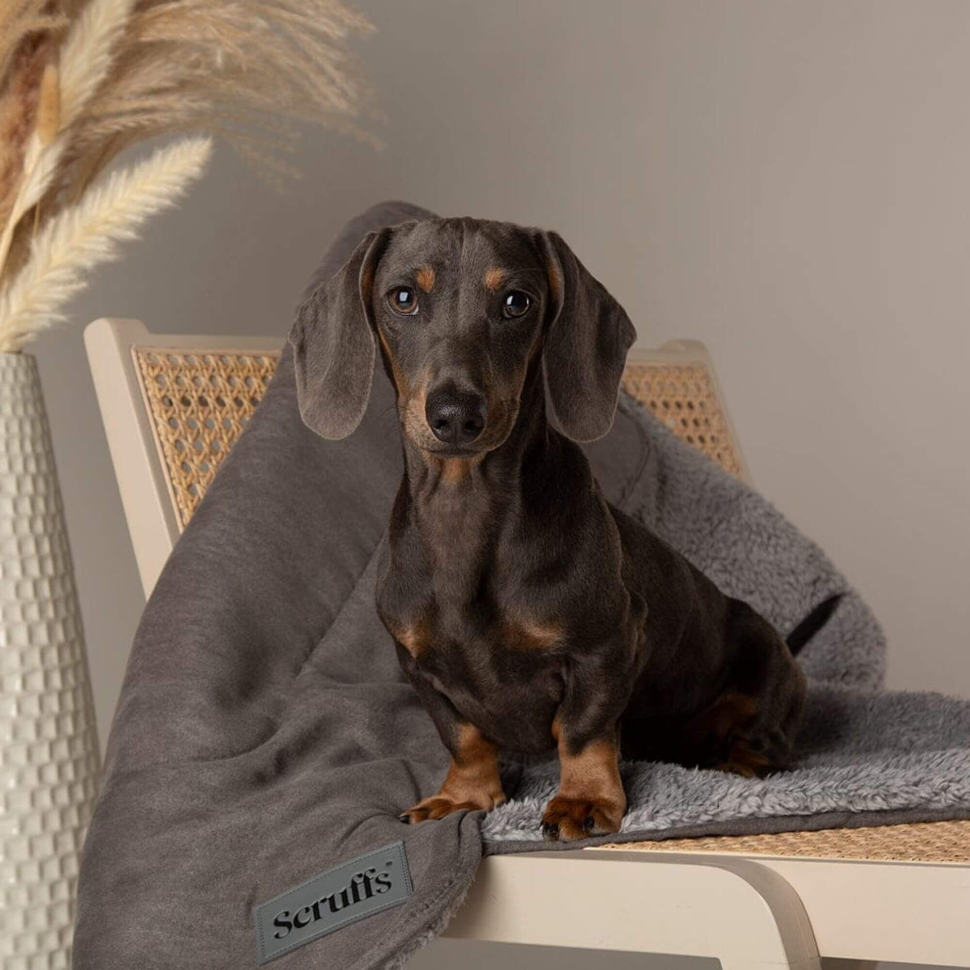 Scruffs Cosy Dog Blanket - Grey - Image 3