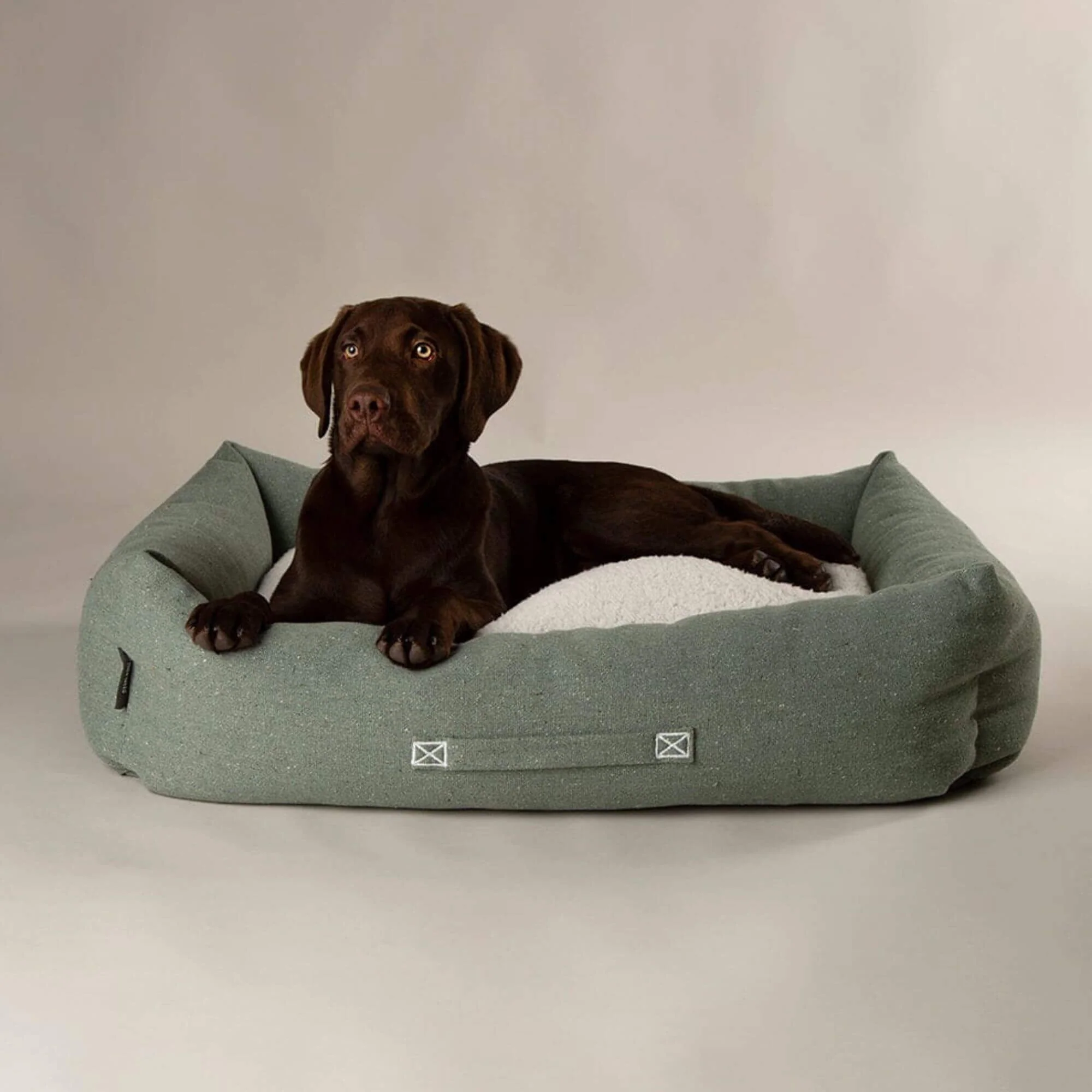 Scruffs Eden Box Dog Bed - Image 10