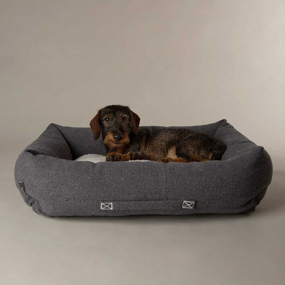 Scruffs Eden Box Dog Bed - Image 2