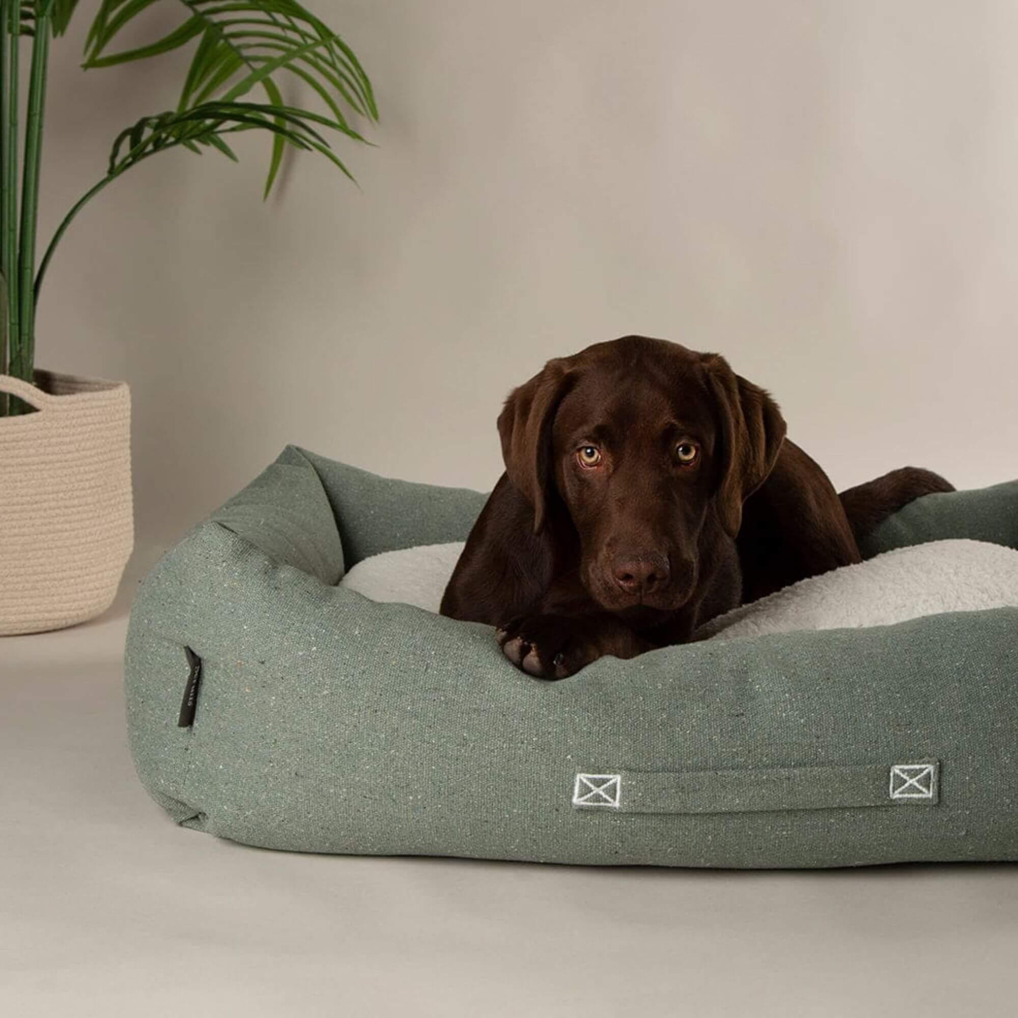 Scruffs Eden Box Dog Bed - Image 9