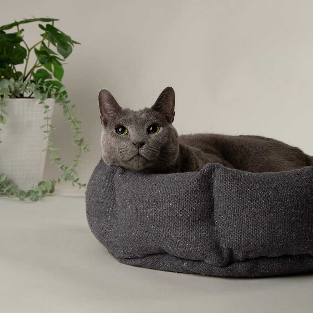 Scruffs Eden Cat Bed - Image 5