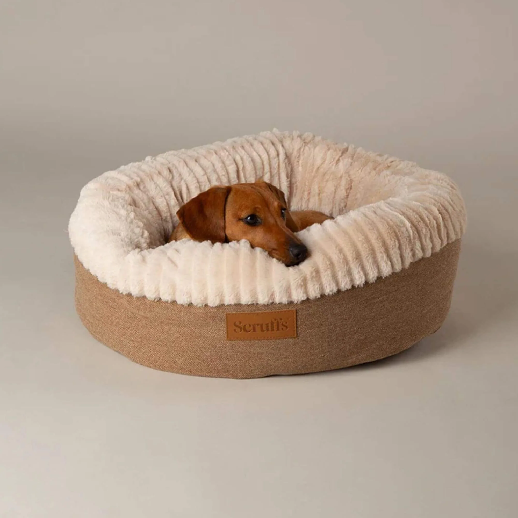 Scruffs Ellen Donut Pet Bed - Image 4