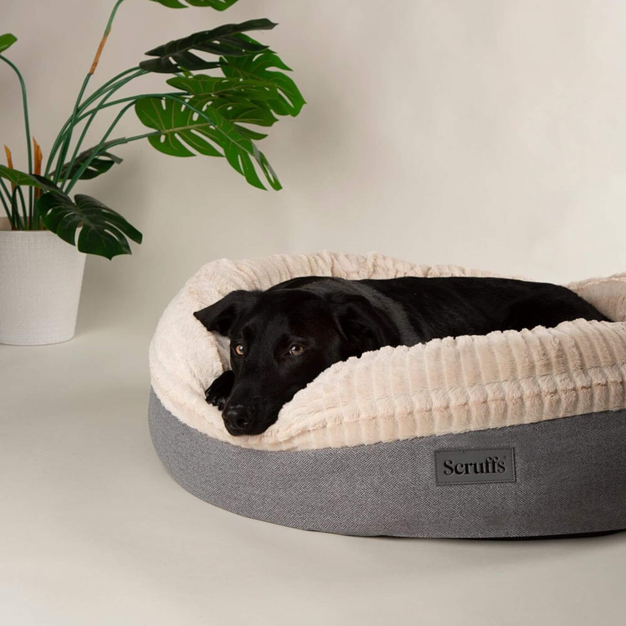 Scruffs Ellen Donut Pet Bed - Image 7