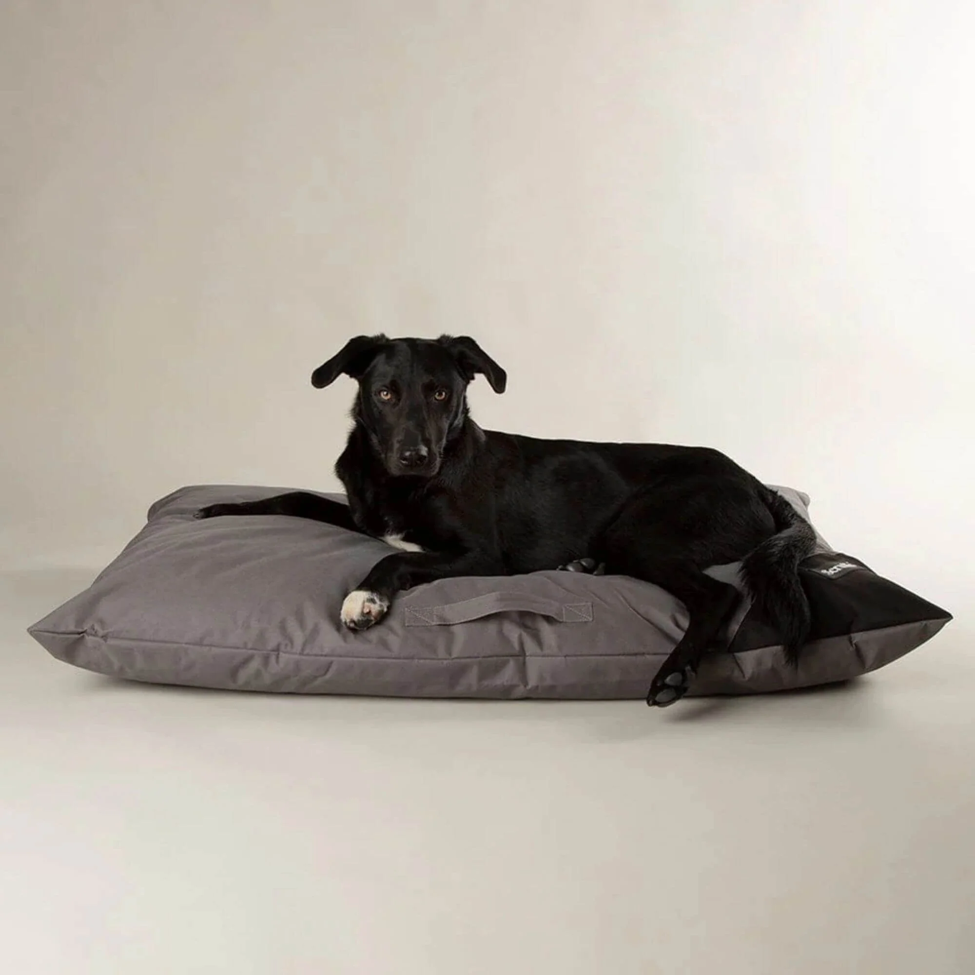 Scruffs Expedition Memory Foam Pillow Dog Bed - Image 8