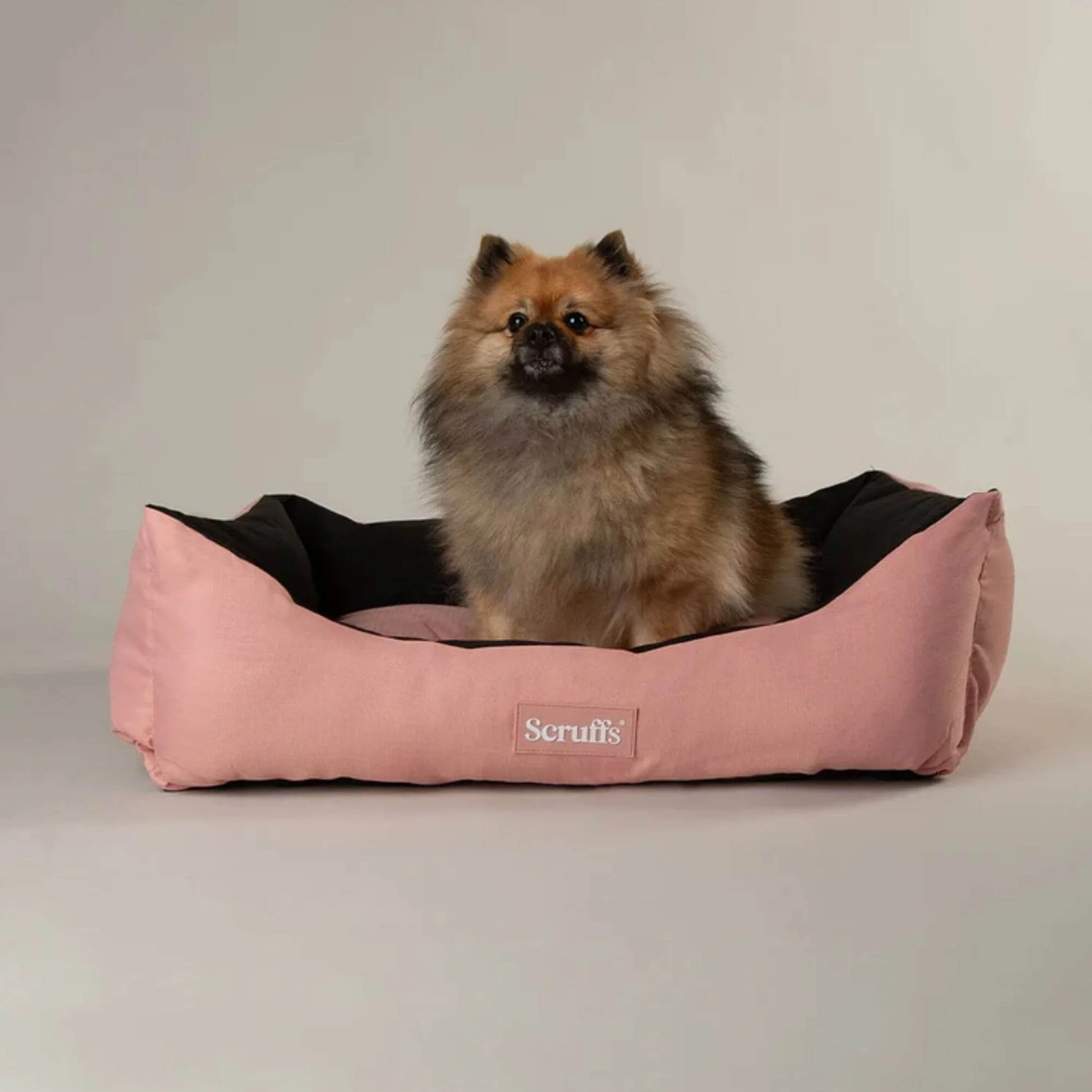 Scruffs Expedition Waterproof Box Bed - Image 4