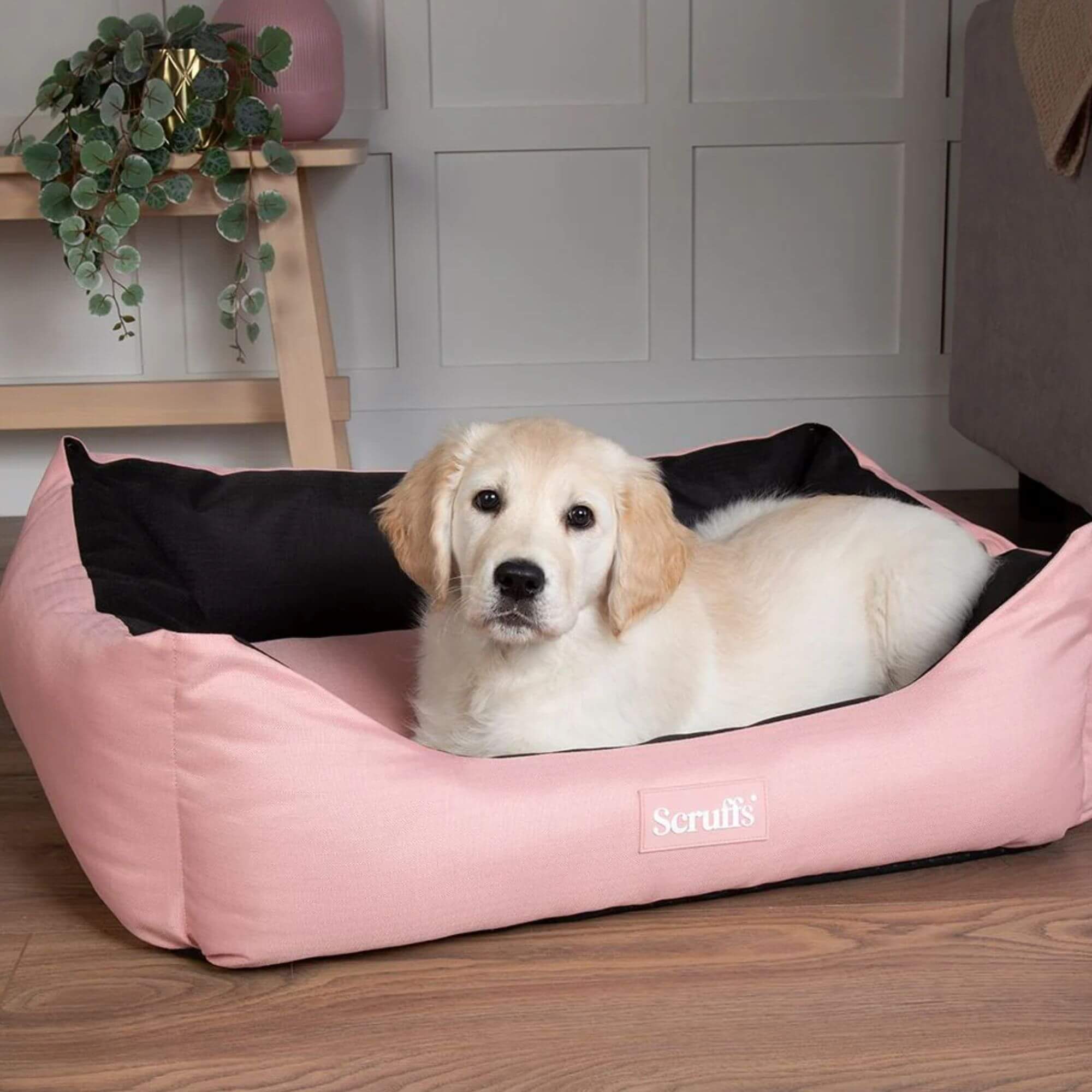 Scruffs Expedition Waterproof Box Bed - Image 8